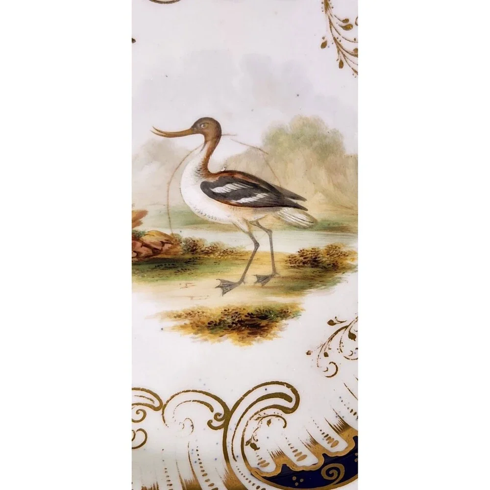 Antique Coalport Hand Painted Game Bird Compote Floral Cobalt Gold Tazza Comport